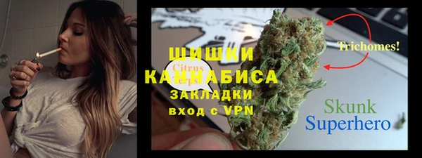 мдпв Богородицк