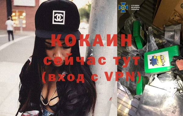 мдпв Богородицк